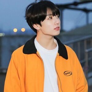 Jungkook Euphoria Jacket APOC